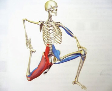 https://ssep.com.au/wp-content/uploads/2019/05/Hip-Mobility-and-Back-Pain.jpg