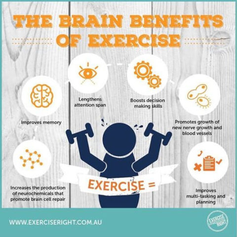 Brain Benefits Of Exercise - Sydney Sports And Exercise Physiology