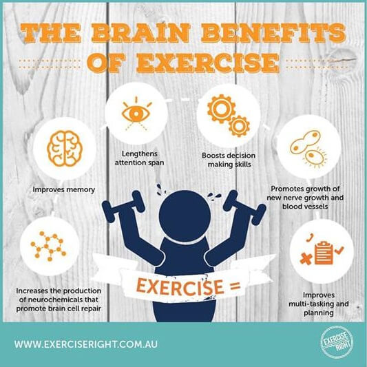 Brain Benefits of Exercise Sydney Sports and Exercise Physiology