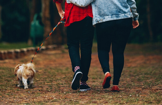 Walking together with a small dog on a leash in a park, emphasizing the shared enjoyment and physical benefits of daily dog walks Walking together with a small dog on a leash in a park, emphasizing the shared enjoyment and physical benefits of daily dog walks
